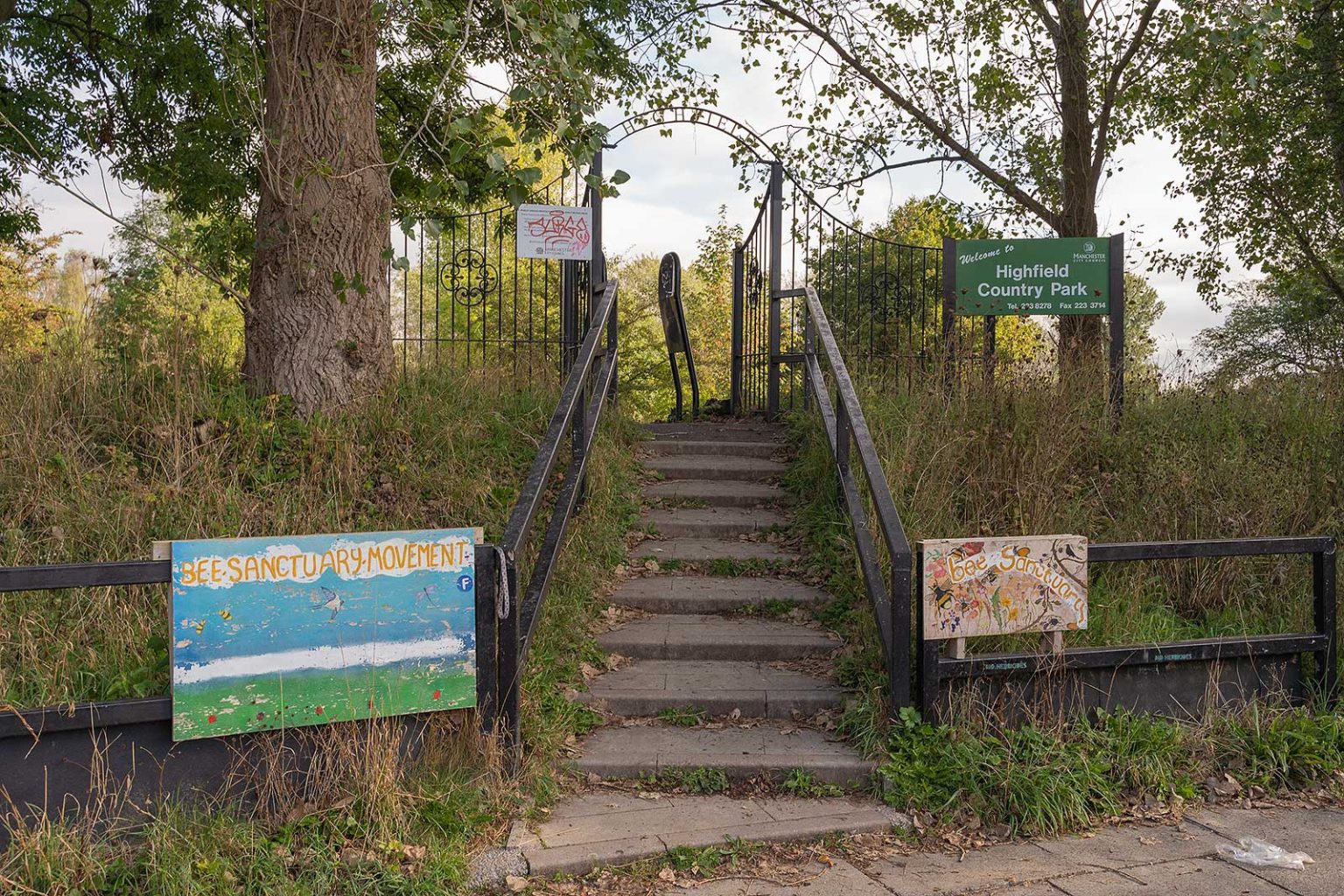 Highfield Country Park Great Dog Walking Green Space